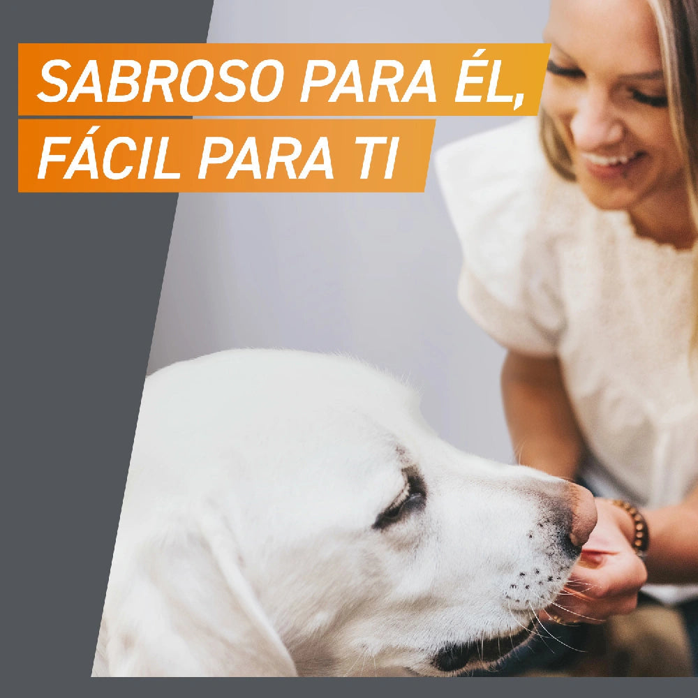 Frontpro Comprimidos Masticables Antiparasitarios para Perros 3 uds. al mejor precio -Todoanimal.es
