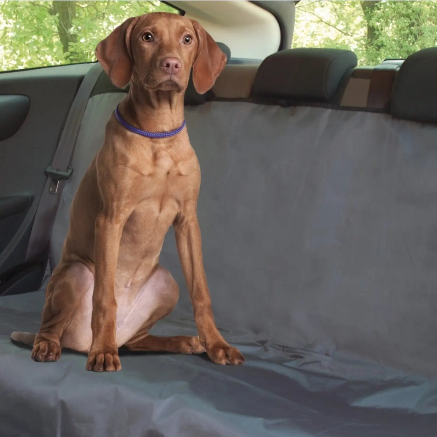 Funda Protectora para Asientos Coche Resistente al Agua 130x110cm - Cubrefundas para Perros FREEDOG