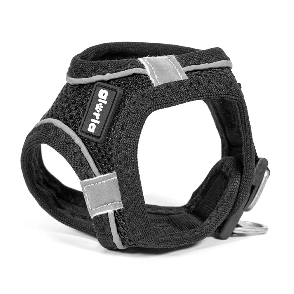 Gloria Arnés Air Mesh Trek Star para Perros al mejor precio -Todoanimal.es