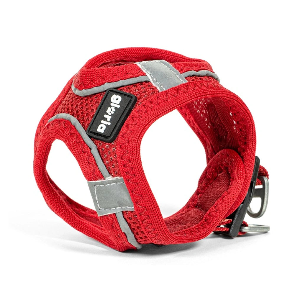 Gloria Arnés Air Mesh Trek Star para Perros al mejor precio -Todoanimal.es