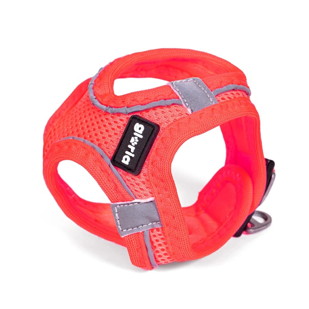 Gloria Arnés Air Mesh Trek Star para Perros al mejor precio -Todoanimal.es