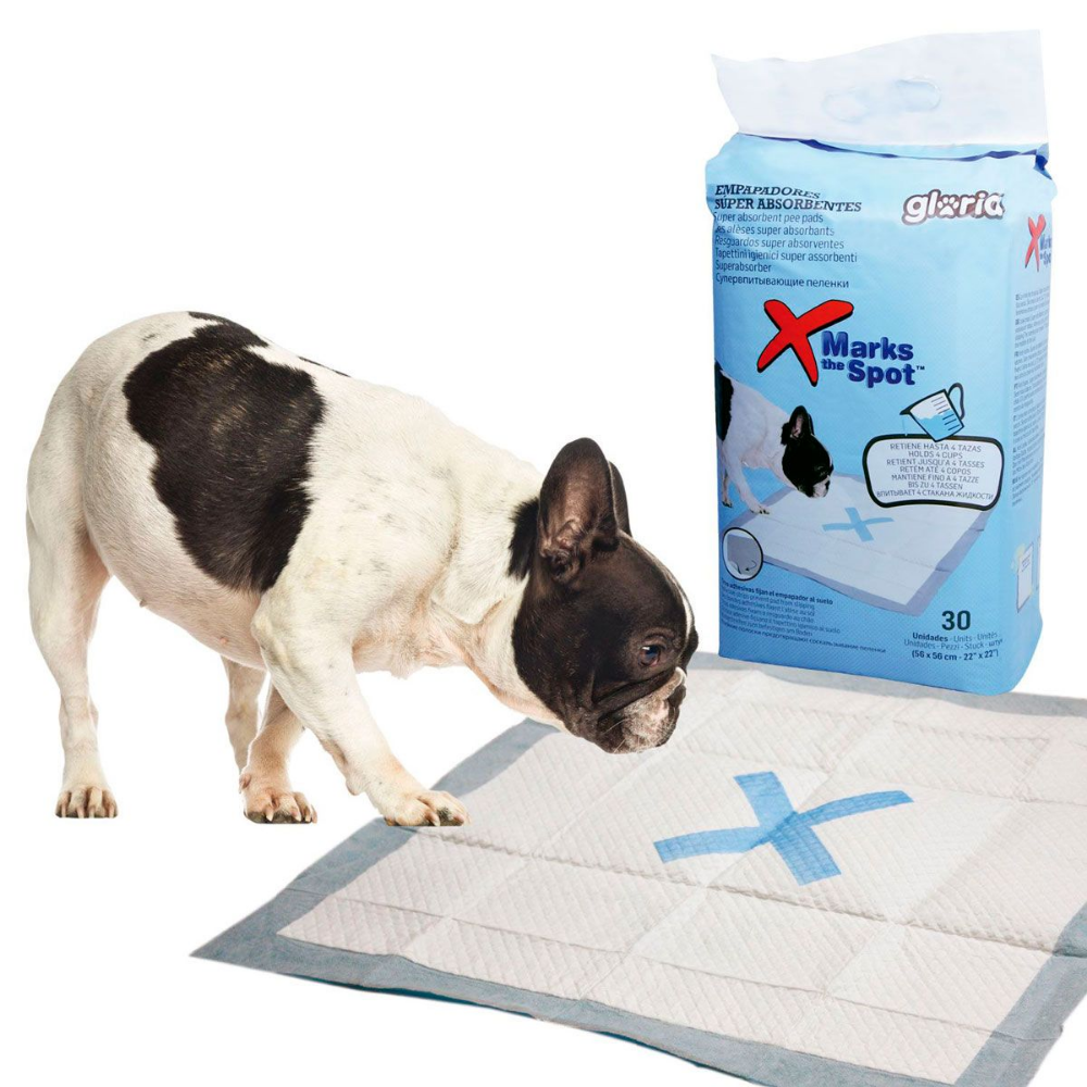 Gloria Empapador Súper Absorbentes 56x56 cm Pack 30 uds | Ideal para Cachorros o Perros Sénior al mejor precio -Todoanimal.es