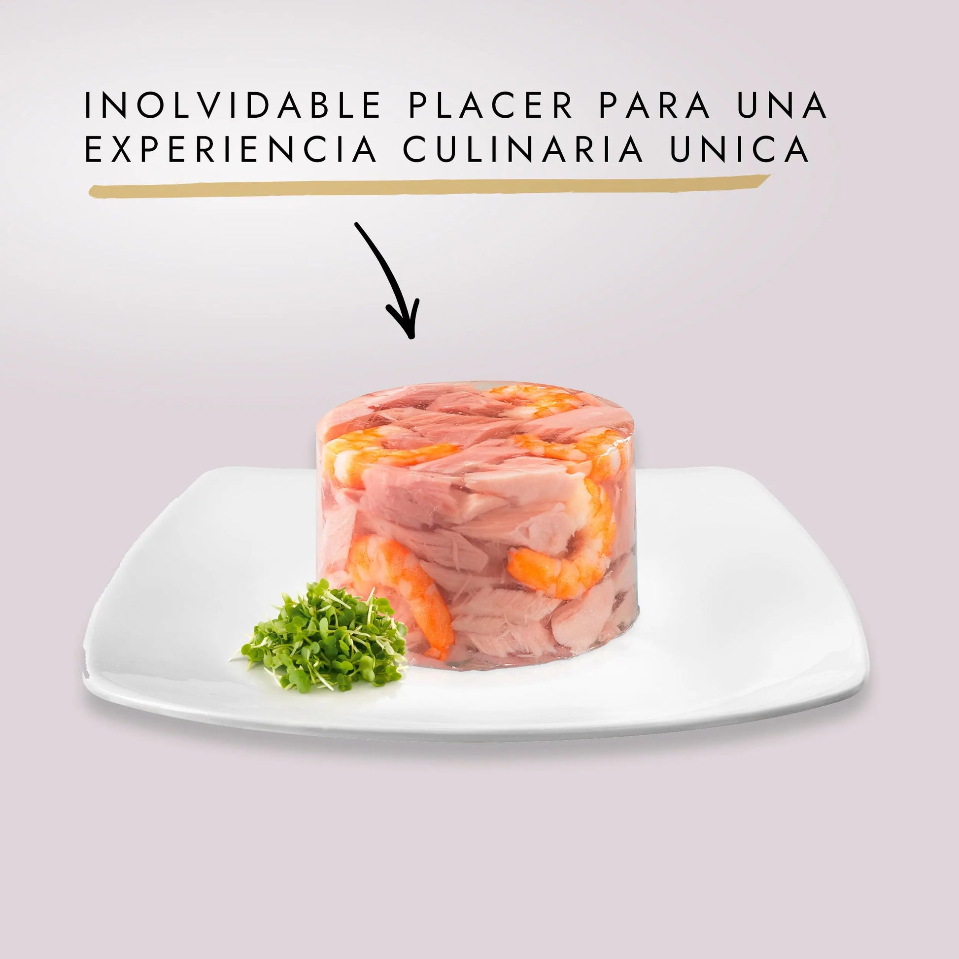 Gourmet Diamant Pollo 85 g al mejor precio -Todoanimal.es
