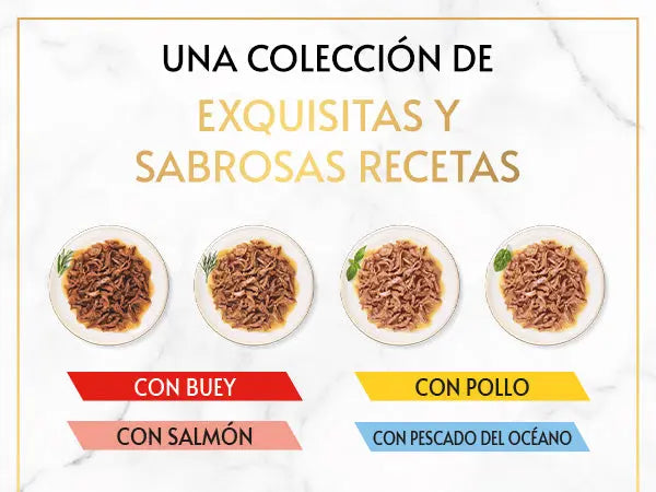 Gourmet Gold Delicias Suculentas Surtido Pack 8X85 g al mejor precio -Todoanimal.es