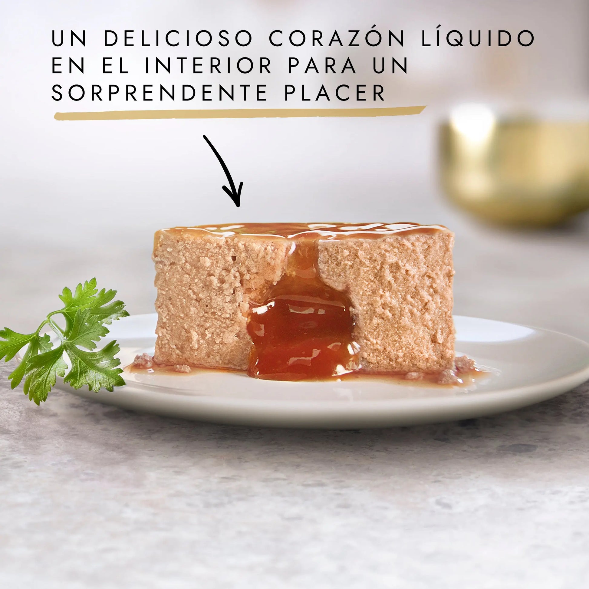 Gourmet Gold Fondant Atún 85 g al mejor precio -Todoanimal.es