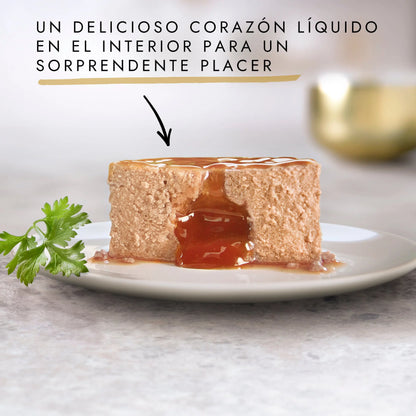 Gourmet Gold Fondant Atún 85 g al mejor precio -Todoanimal.es