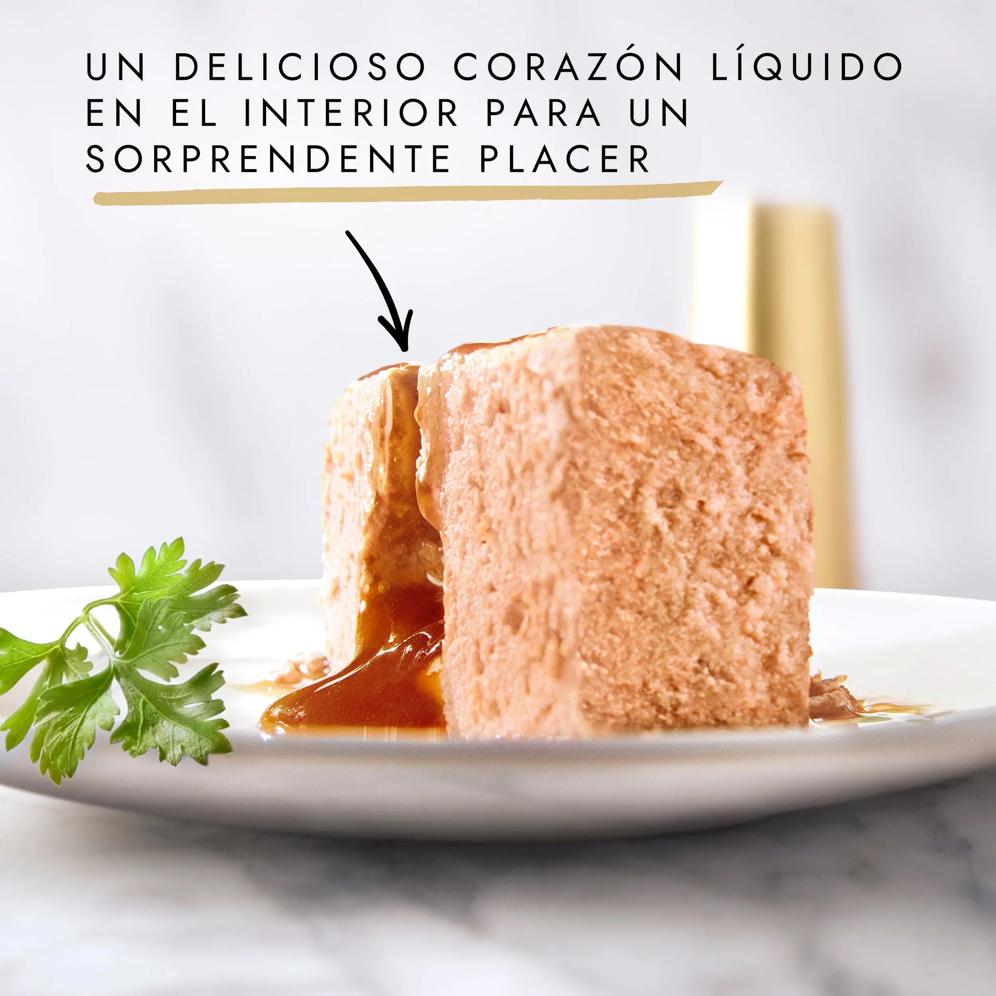 Gourmet Gold Fondant Pollo 85 g al mejor precio -Todoanimal.es