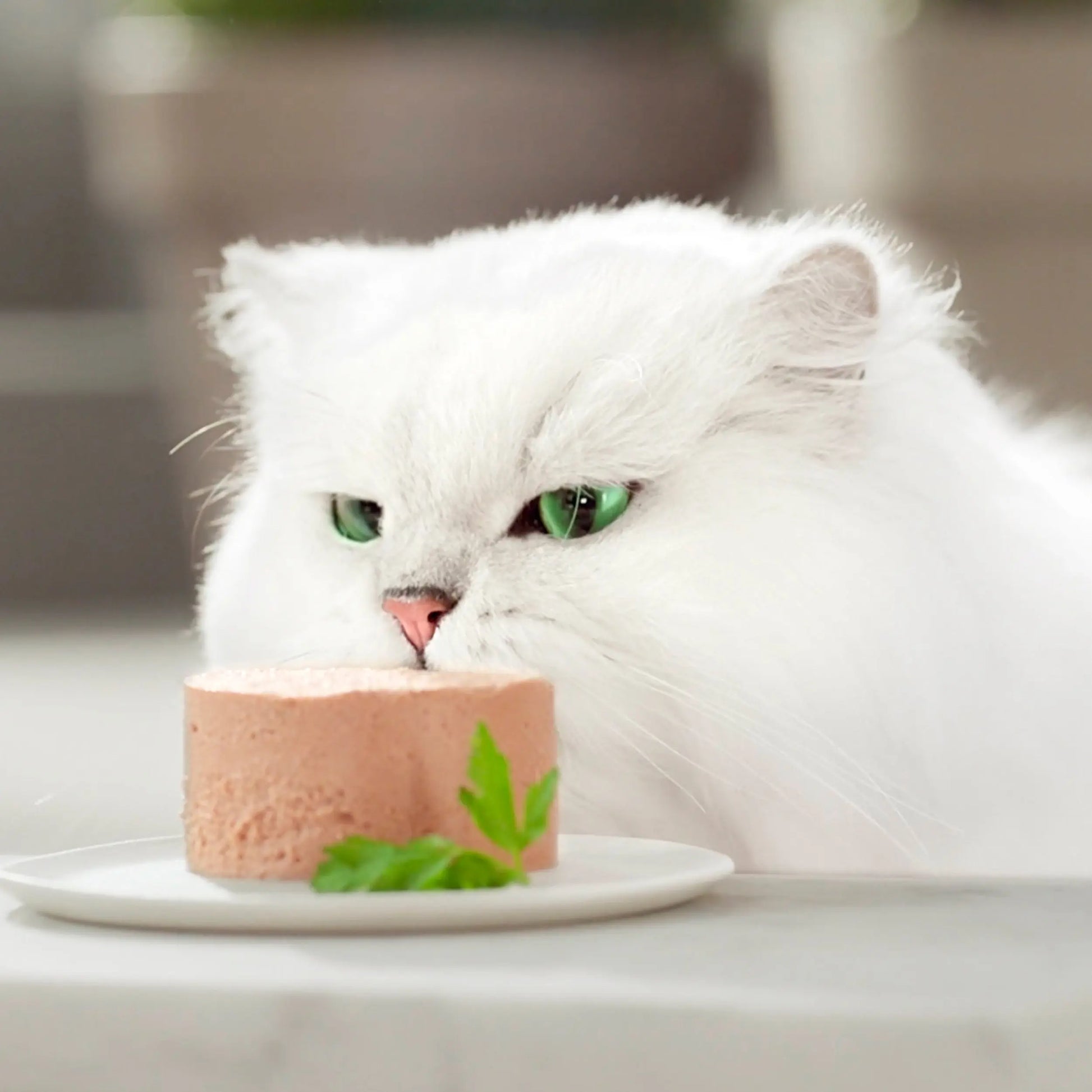 Gourmet Gold Mousse Pollo 85 g al mejor precio -Todoanimal.es