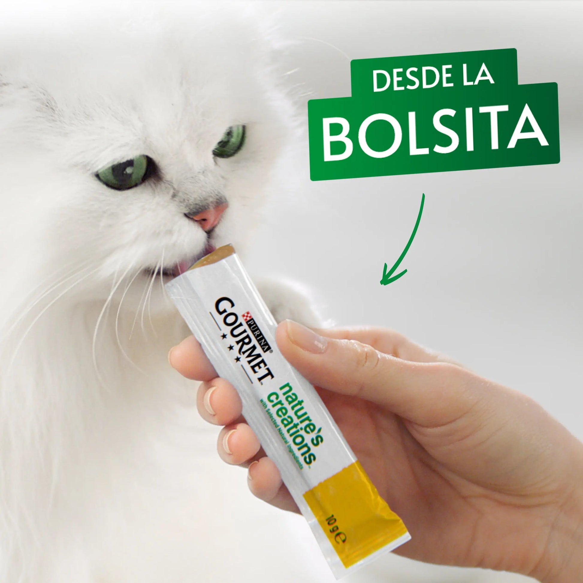 Gourmet Nature'S Creations Pure Buey&Tomate 5x10 g al mejor precio -Todoanimal.es
