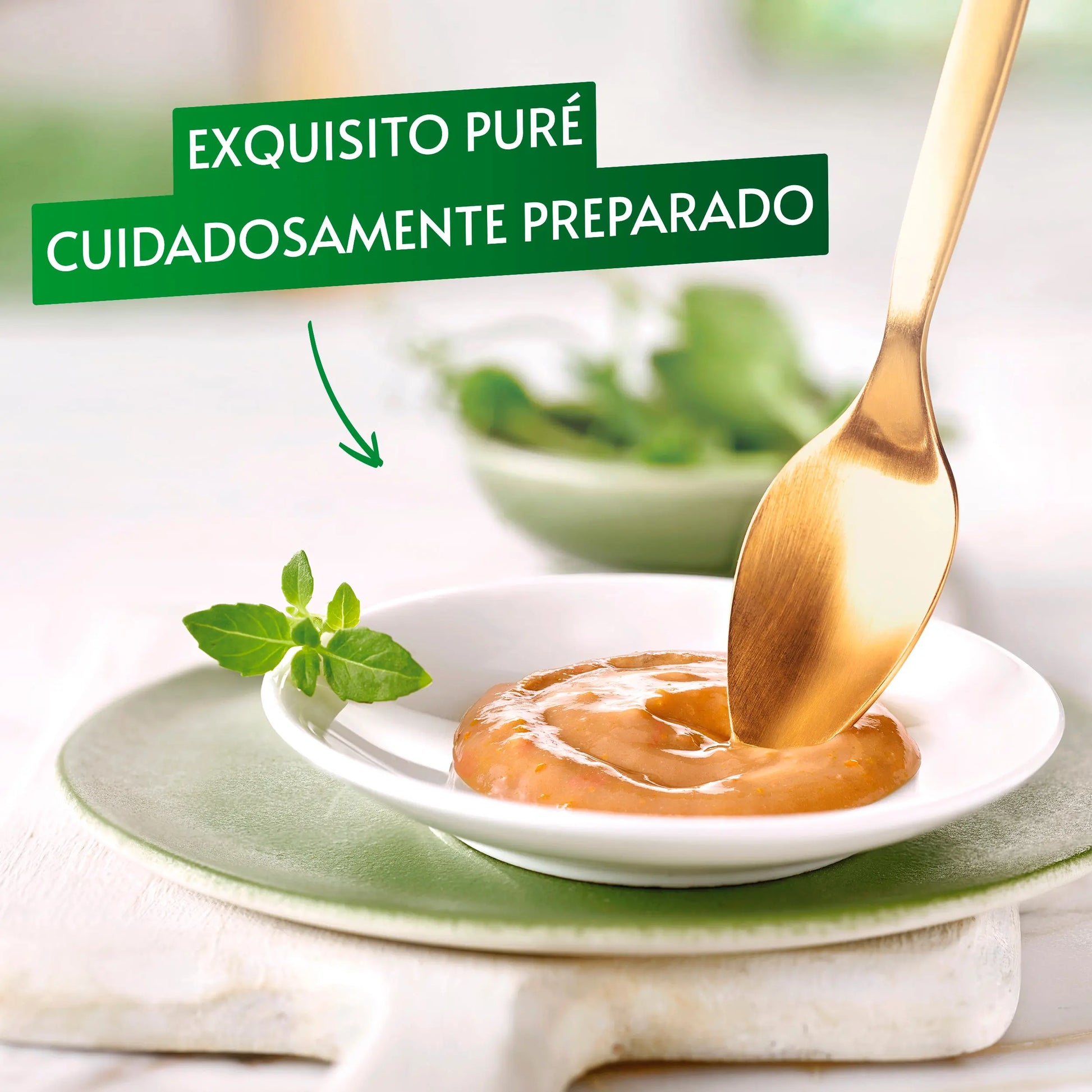 Gourmet Nature'S Creations Pure Pollo y Calabaza 5x10 g al mejor precio -Todoanimal.es