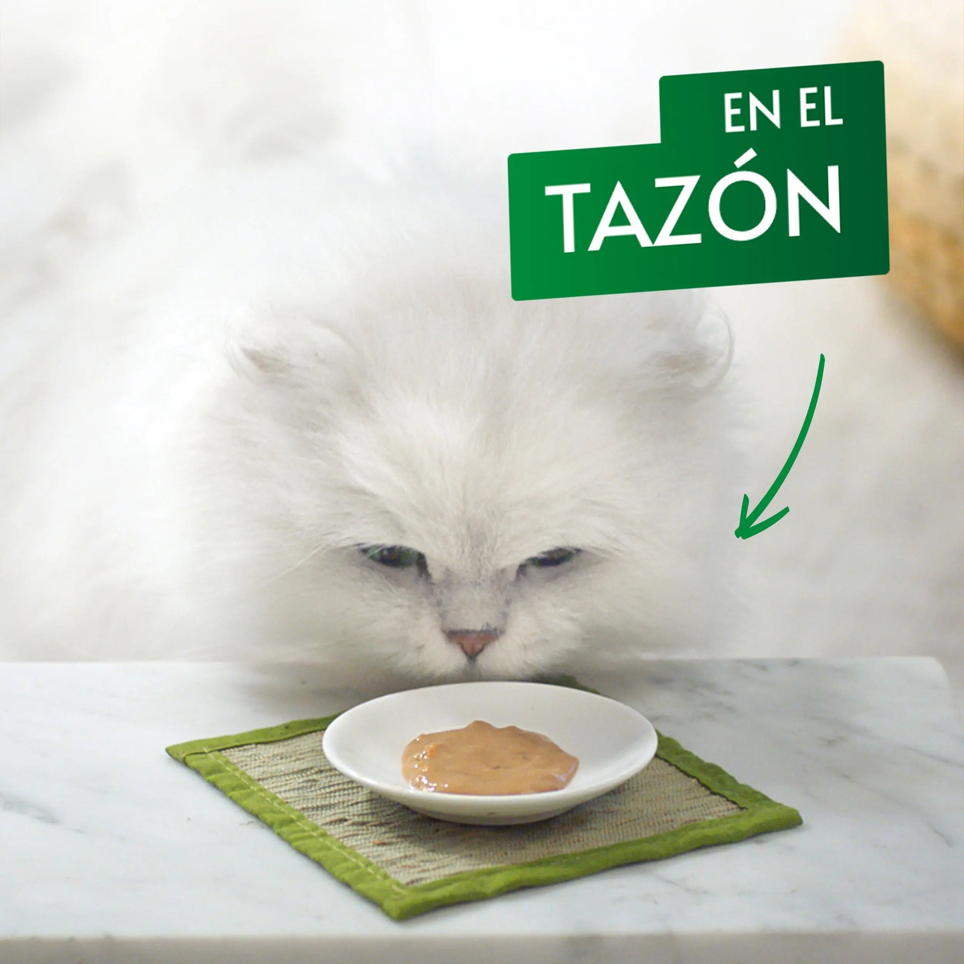 Gourmet Nature'S Creations Pure Pollo y Calabaza 5x10 g al mejor precio -Todoanimal.es