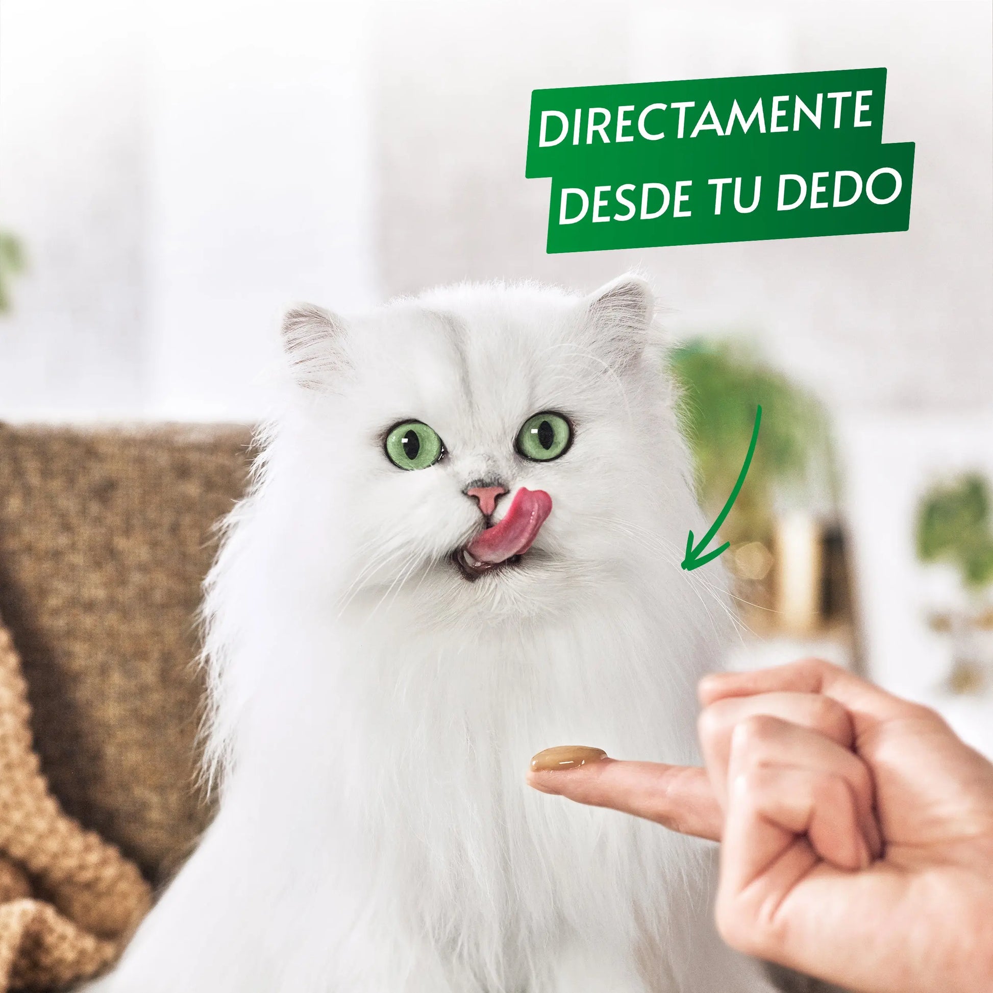Gourmet Nature'S Creations Pure Pollo y Calabaza 5x10 g al mejor precio -Todoanimal.es