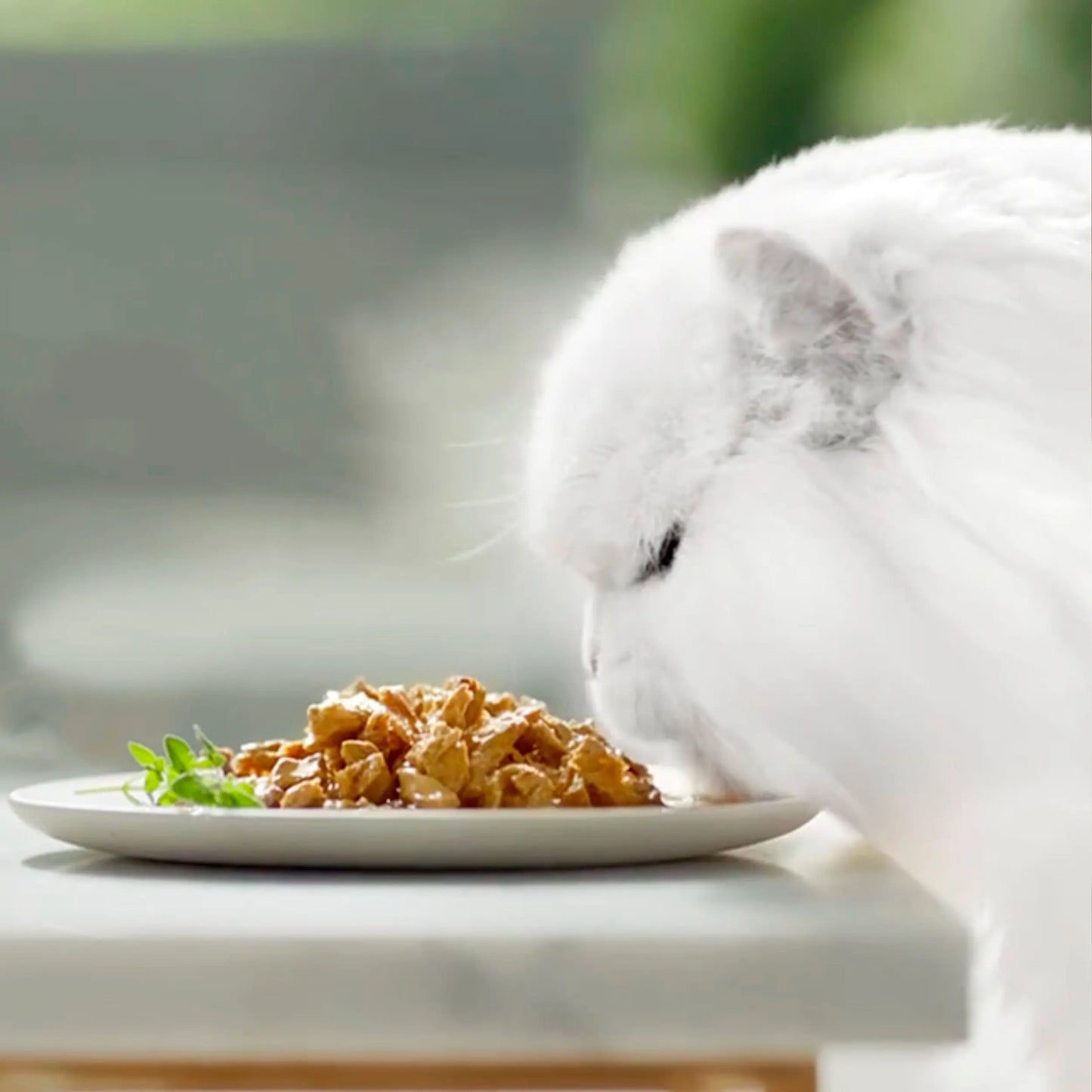 Gourmet Perle Delicias En Salsa Salmón Atún Pack 4X85 g al mejor precio -Todoanimal.es