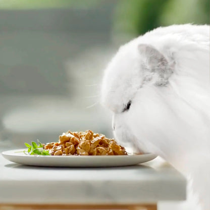 Gourmet Perle Delicias En Salsa Salmón Atún Pack 4X85 g al mejor precio -Todoanimal.es