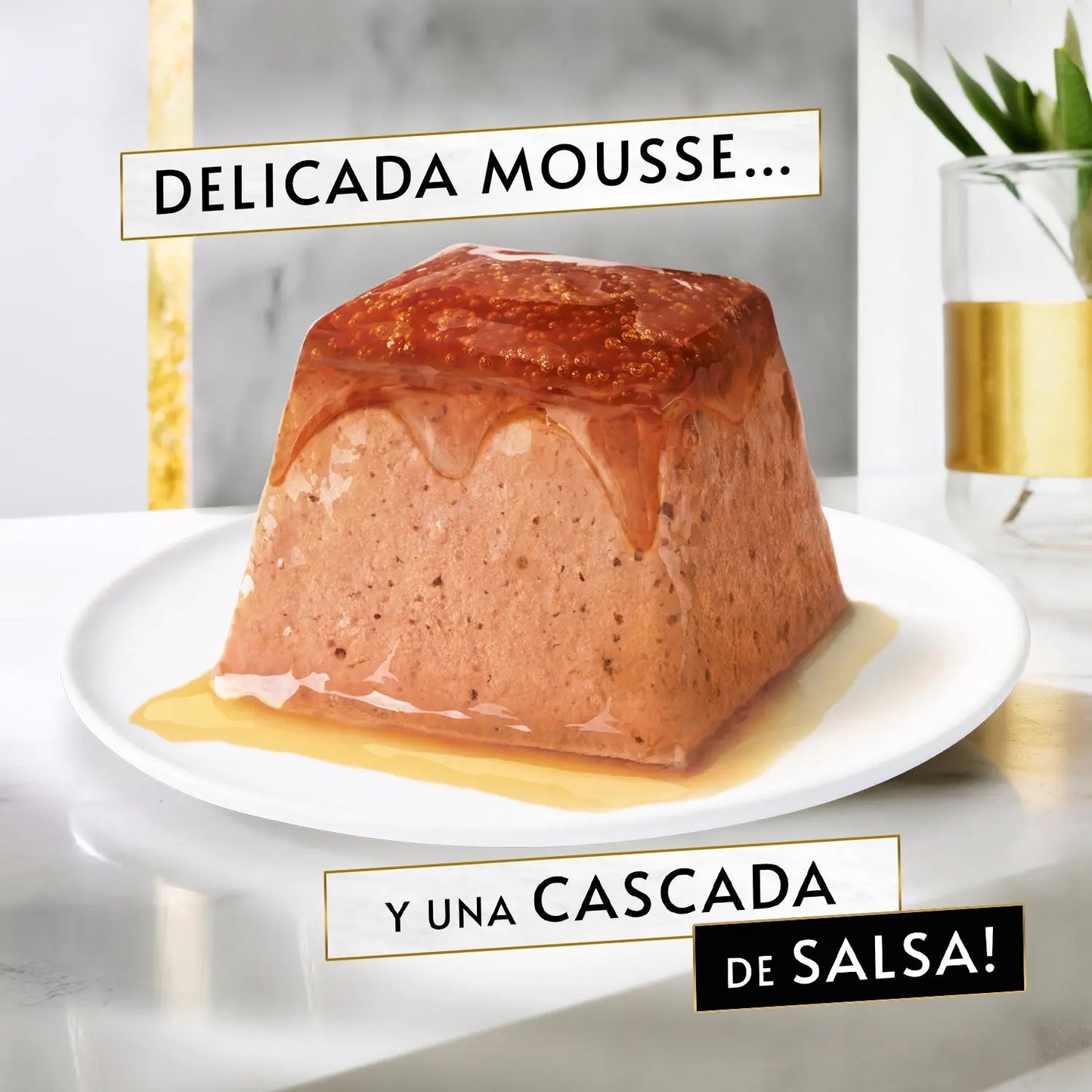 Gourmet Revelations Mousse Salmón y Atún Pack Ahorro 48x57 g al mejor precio -Todoanimal.es