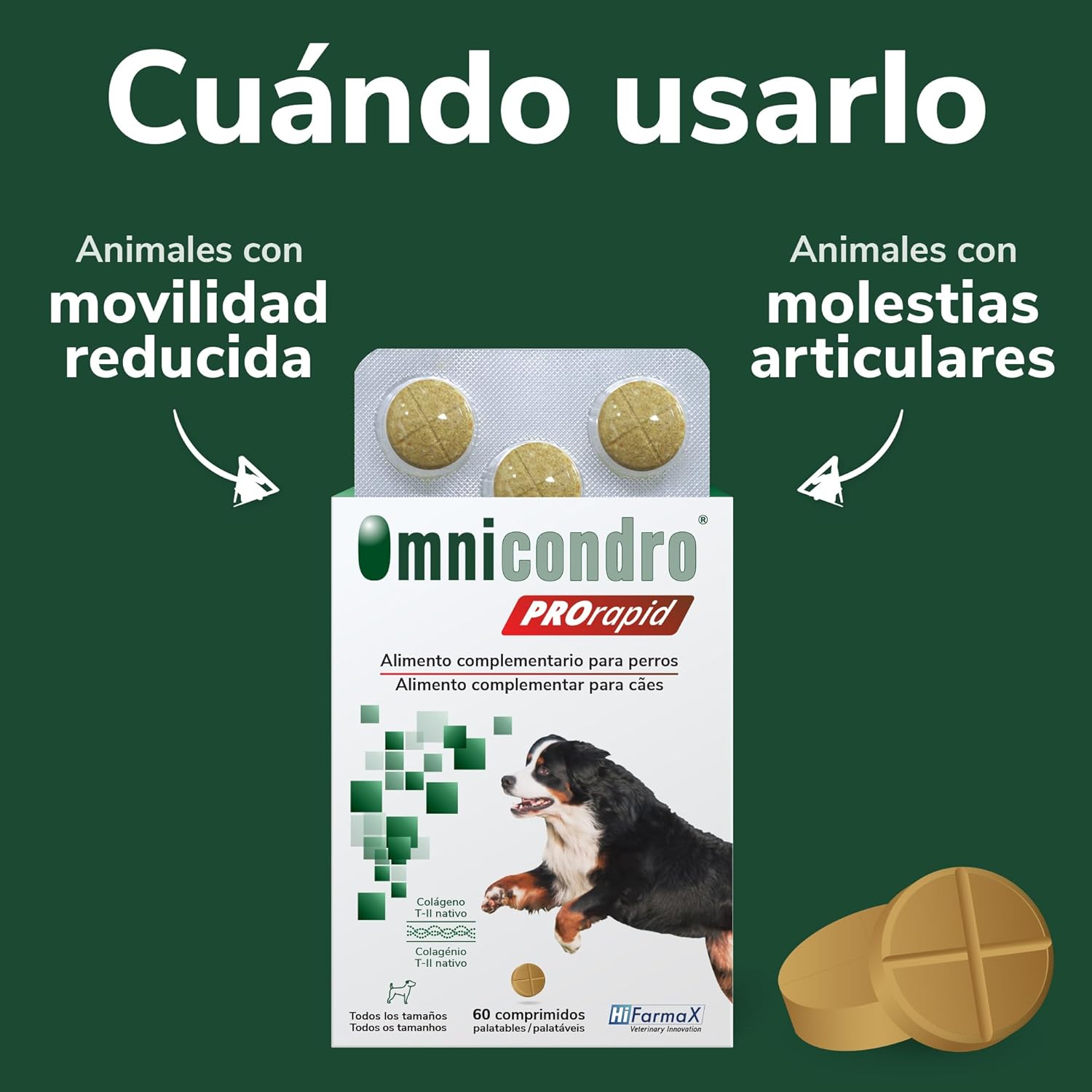 Hifarmax Omnicondro ProRapid 60 Comprimidos Suplemento Condroprotector para Perros al mejor precio -Todoanimal.es
