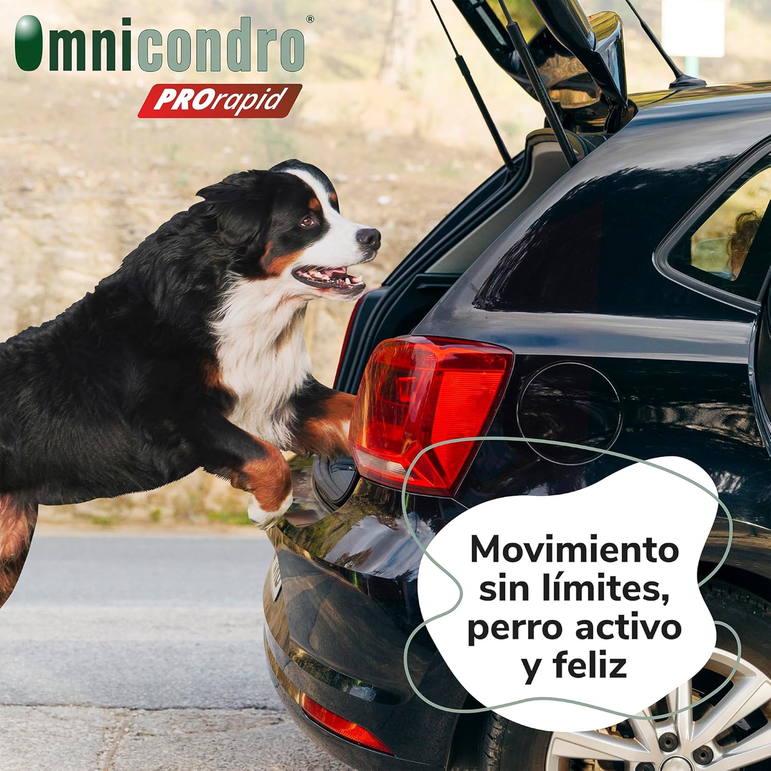 Hifarmax Omnicondro ProRapid 60 Comprimidos Suplemento Condroprotector para Perros al mejor precio -Todoanimal.es