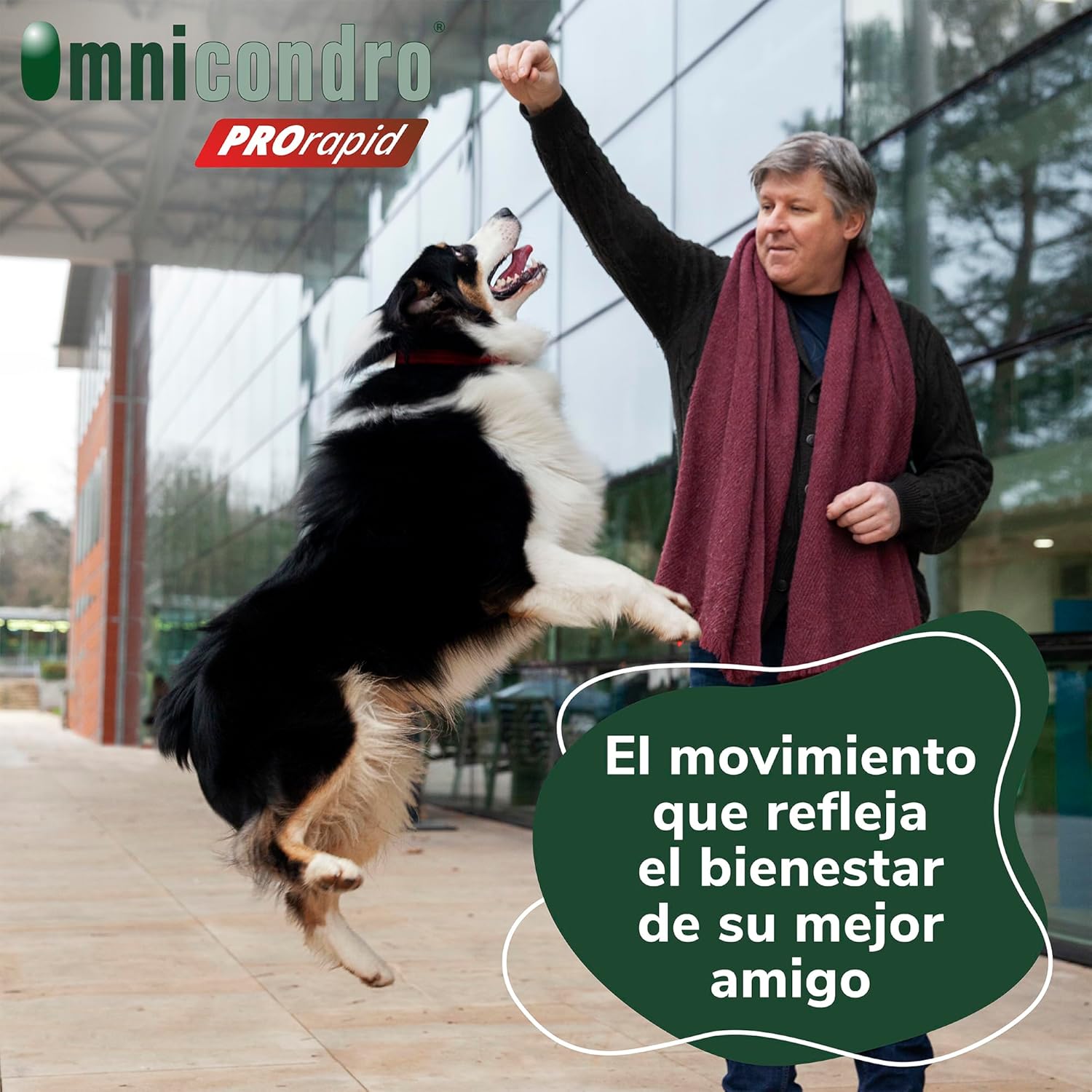 Hifarmax Omnicondro ProRapid 60 Comprimidos Suplemento Condroprotector para Perros al mejor precio -Todoanimal.es