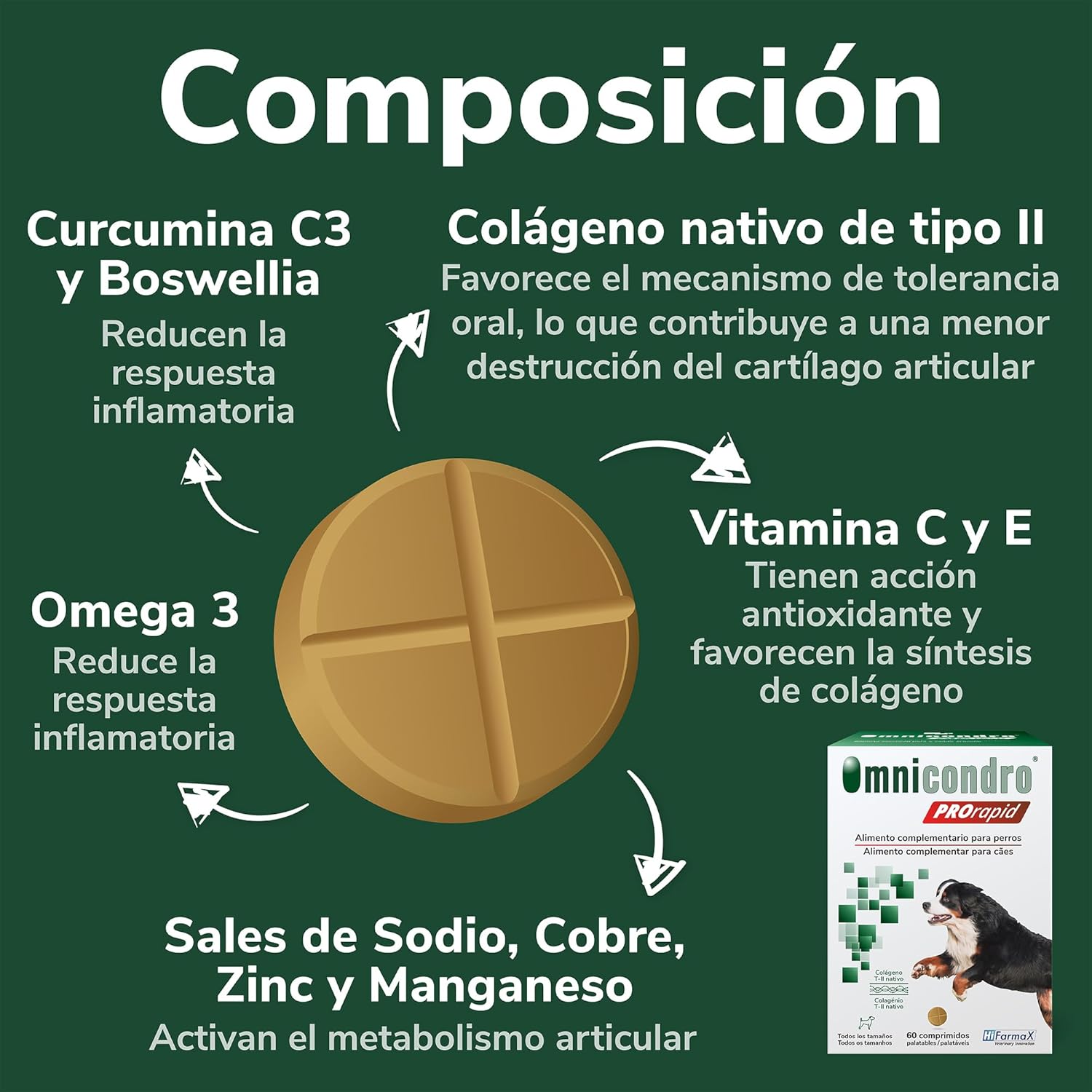 Hifarmax Omnicondro ProRapid 60 Comprimidos Suplemento Condroprotector para Perros al mejor precio -Todoanimal.es