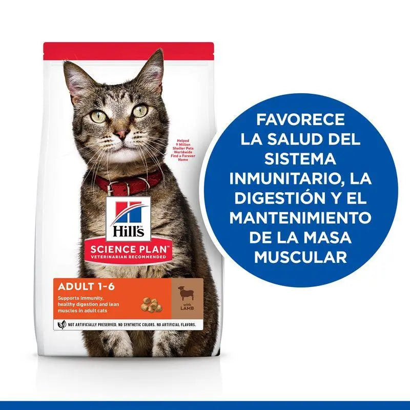 Hill'S Sp Feline Adult Cordero & Arroz 10Kg - Precios Más Baratos - Todoanimal