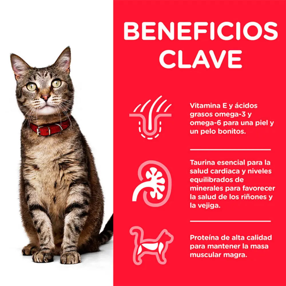 Hill'S Sp Feline Adult Ternera 85 g Sobre al mejor precio -Todoanimal.es