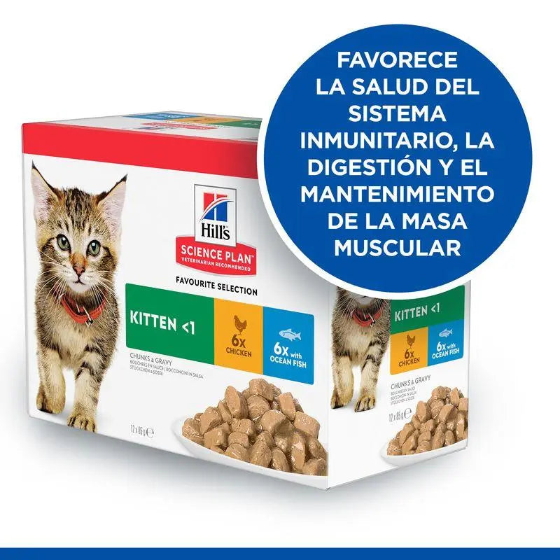 Hill'S Sp Feline Kitten Pollo Y Pescado Azul 85G Pack-12 Udes. Sobre