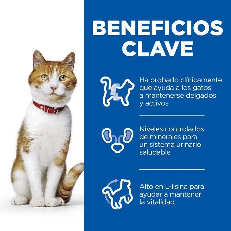 Hill'S Sp Feline Sterilised Trucha 85G - Precios Más Baratos - Todoanimal