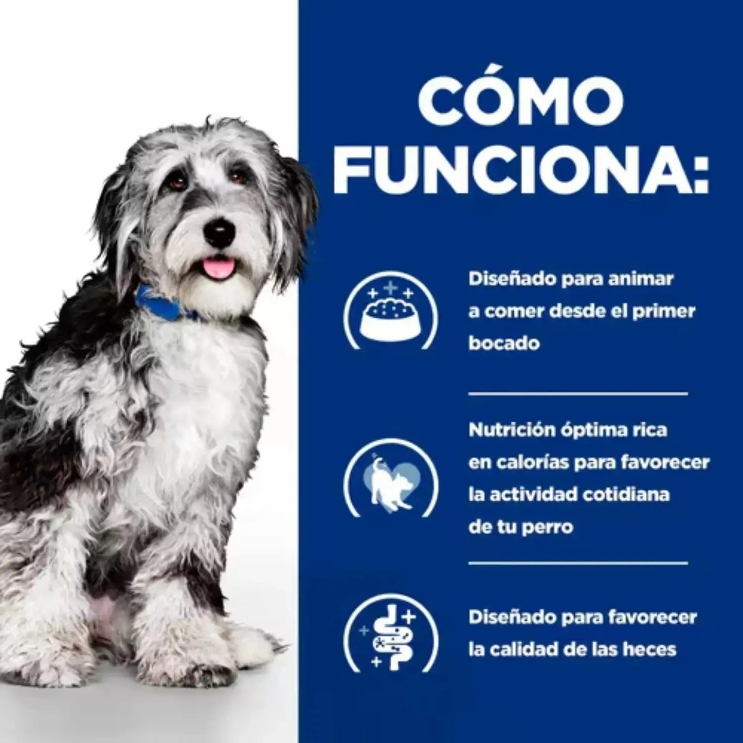 Hill's Prescription Diet Pienso ON-Care Pollo para Perros 1.5 KG OLMEDO ZOONET, S.L.U.
