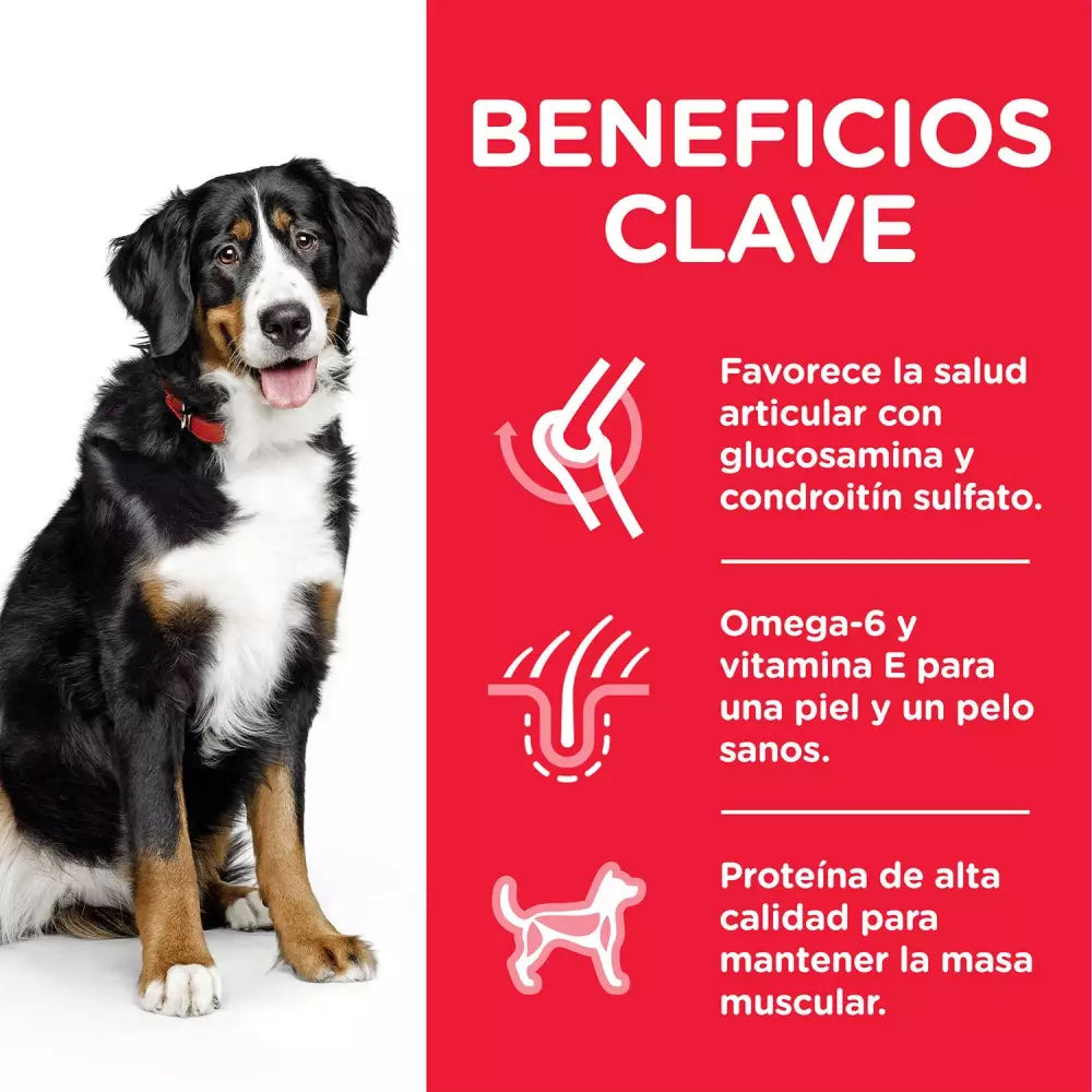 Hill's Science Plan Adult Razas Grandes Pollo Pienso para Perros al mejor precio -Todoanimal.es
