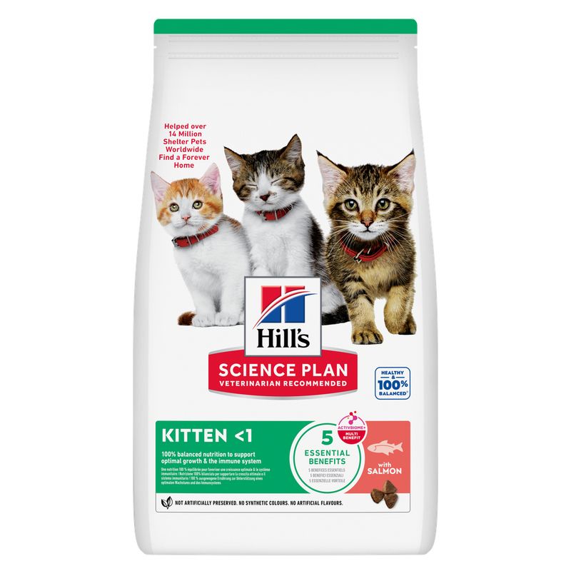 Hill's Science Plan Kitten Salmón Pienso para Gatos al mejor precio -Todoanimal.es