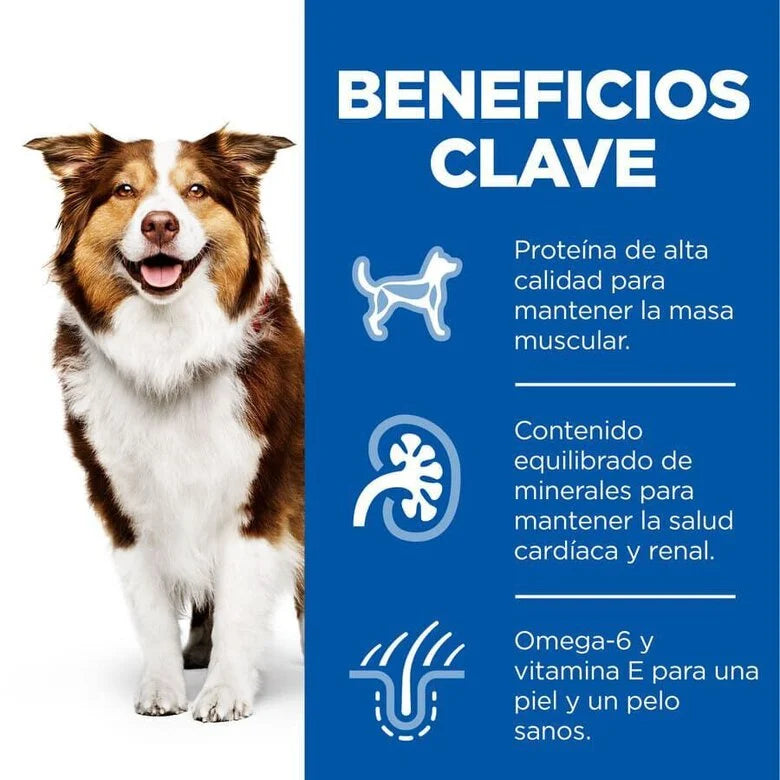 Hill's Science Plan Mature Adult 7+ Medium Pollo Pienso para Perros al mejor precio -Todoanimal.es