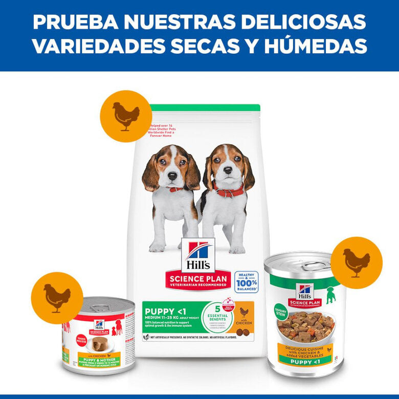 Hill's Science Plan Puppy Estofado con Pollo y Verduras Lata Húmeda para Cachorros al mejor precio -Todoanimal.es