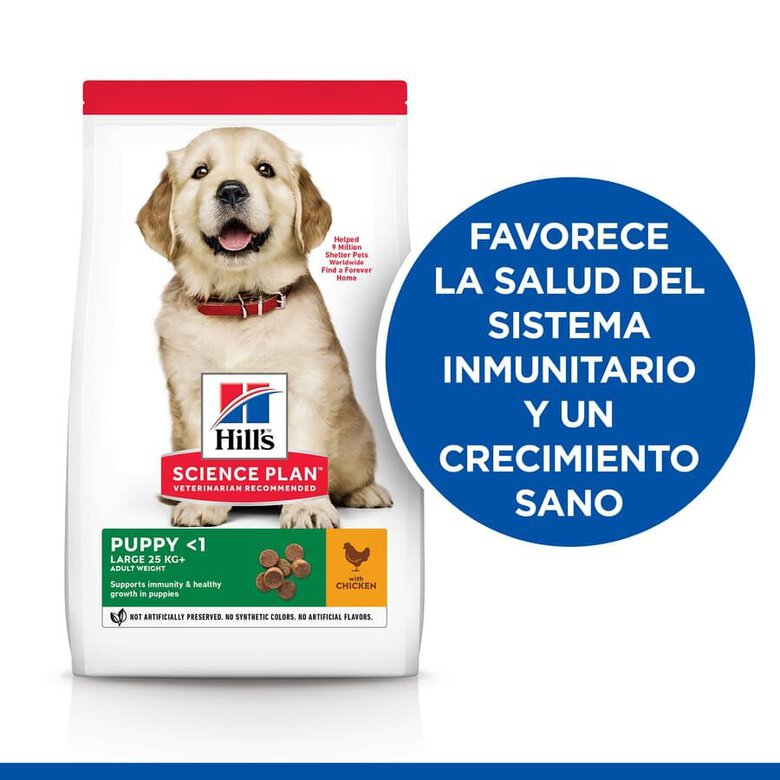 Hill's Science Plan Puppy Razas Grandes Pollo Pienso para Cachorros al mejor precio -Todoanimal.es
