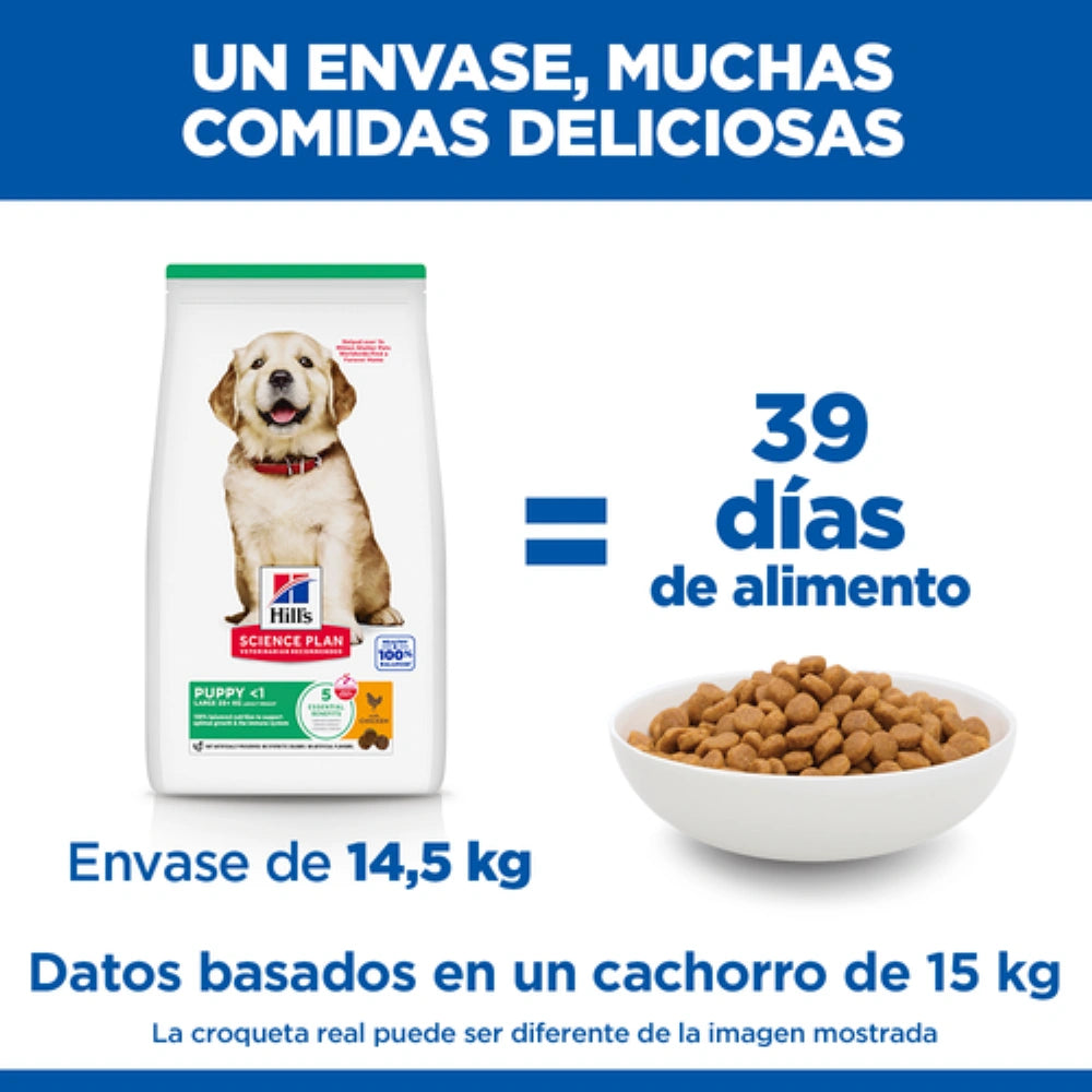 Hill's Science Plan Puppy Razas Grandes Pollo Pienso para Perros al mejor precio -Todoanimal.es