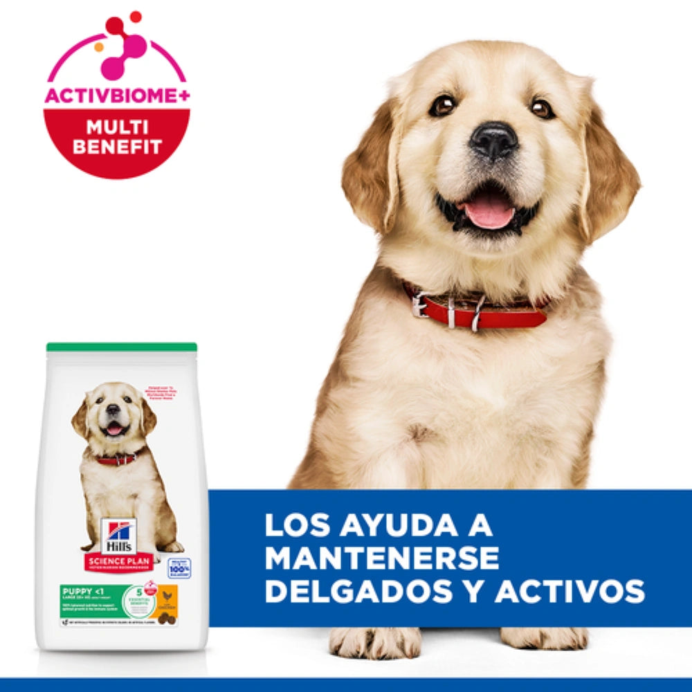 Hill's Science Plan Puppy Razas Grandes Pollo Pienso para Perros al mejor precio -Todoanimal.es
