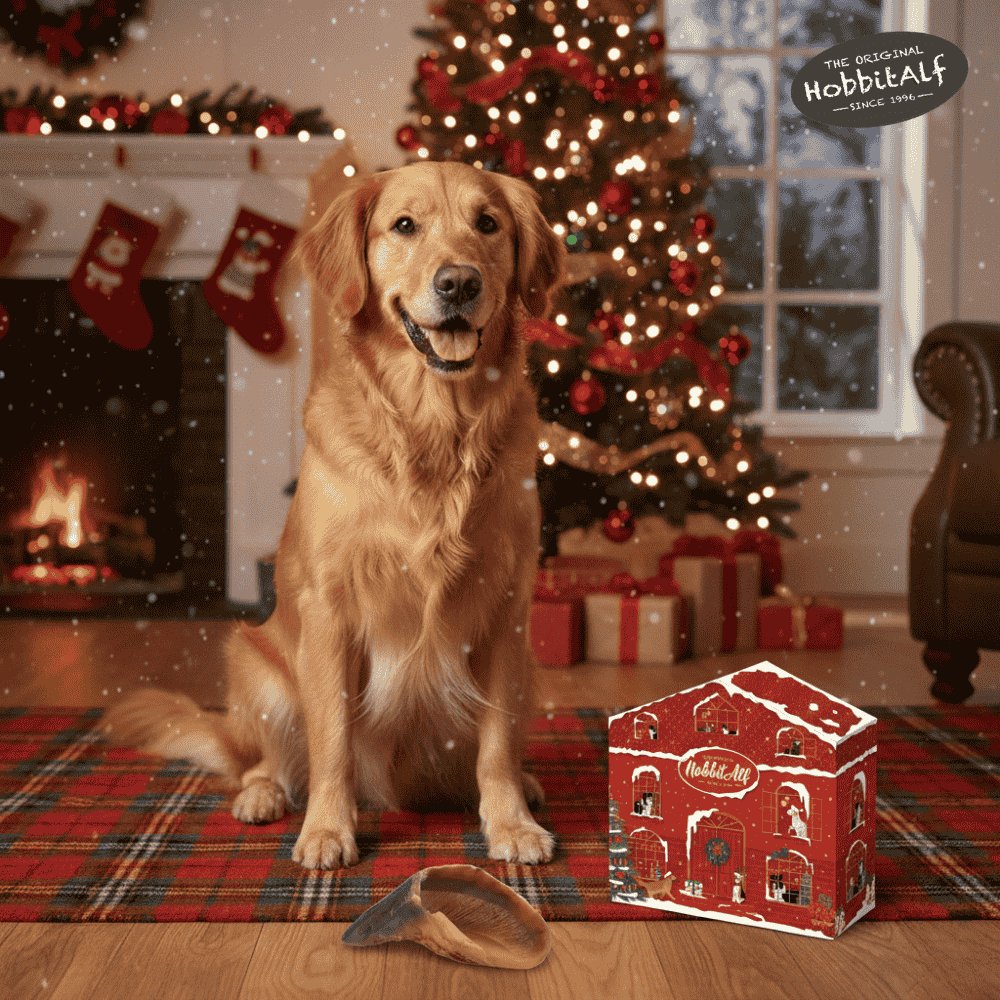 Hobbit Alf Caja Regalo Navidad Christmas Dog Paradise | Snacks Naturales para Perros al mejor precio -Todoanimal.es