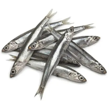 Hobbit Snack La Pescaderia Boquerones 200G HOBBIT-ALF, S.L.