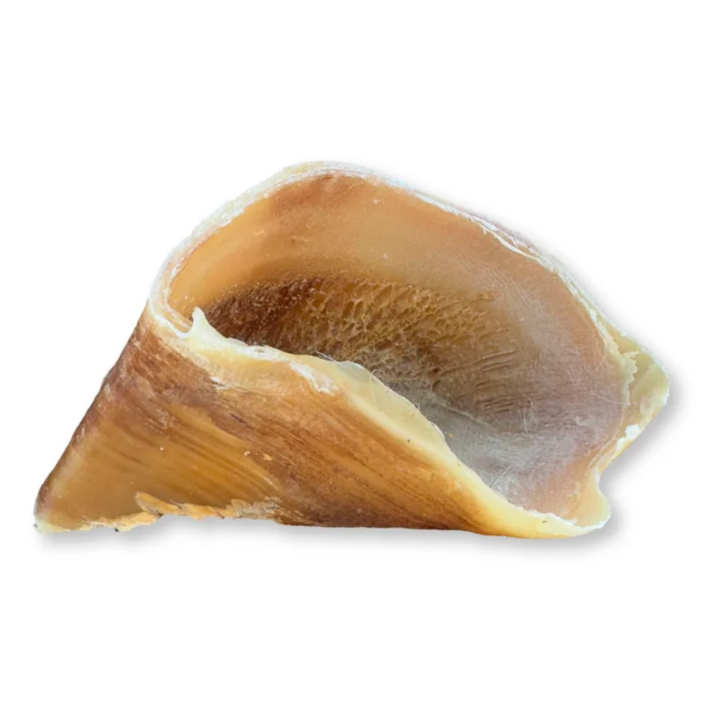Hobbitalf Oreja de Ternera Ahumada Blister Snack Natural para Perros al mejor precio -Todoanimal.es