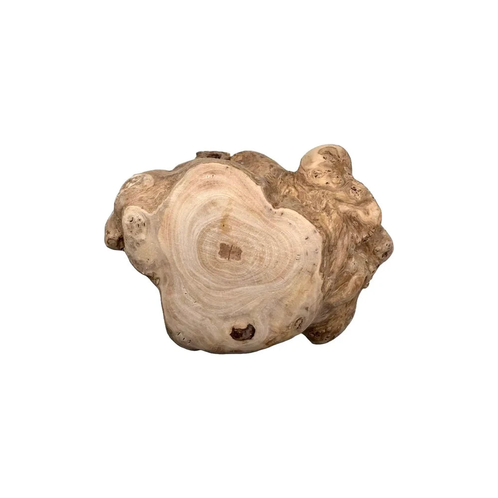 Hobbitalf Tronco de Madera de Café Snack Natural para Perros al mejor precio -Todoanimal.es