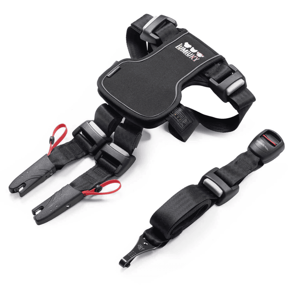 Iumiuky Travel Fix Arnés Pet Coche para Perros al mejor precio -Todoanimal.es