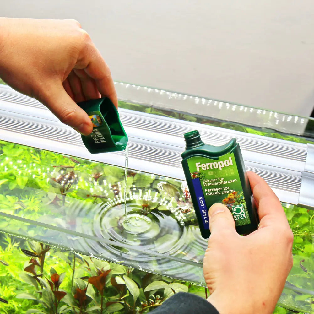 Jbl Proflora Ferropol 100 ml al mejor precio -Todoanimal.es