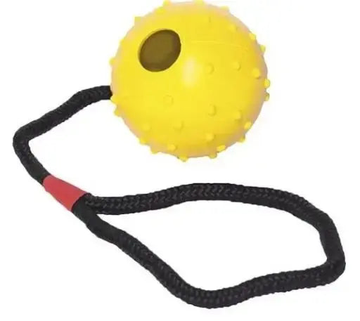 Juguete Perro Pelota Goma Con Cuerda 6X30Cm Todoanimal.es