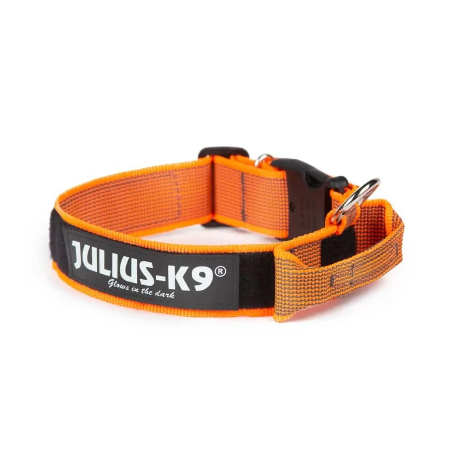 Julius Collar con Asa para Perros al mejor precio -Todoanimal.es