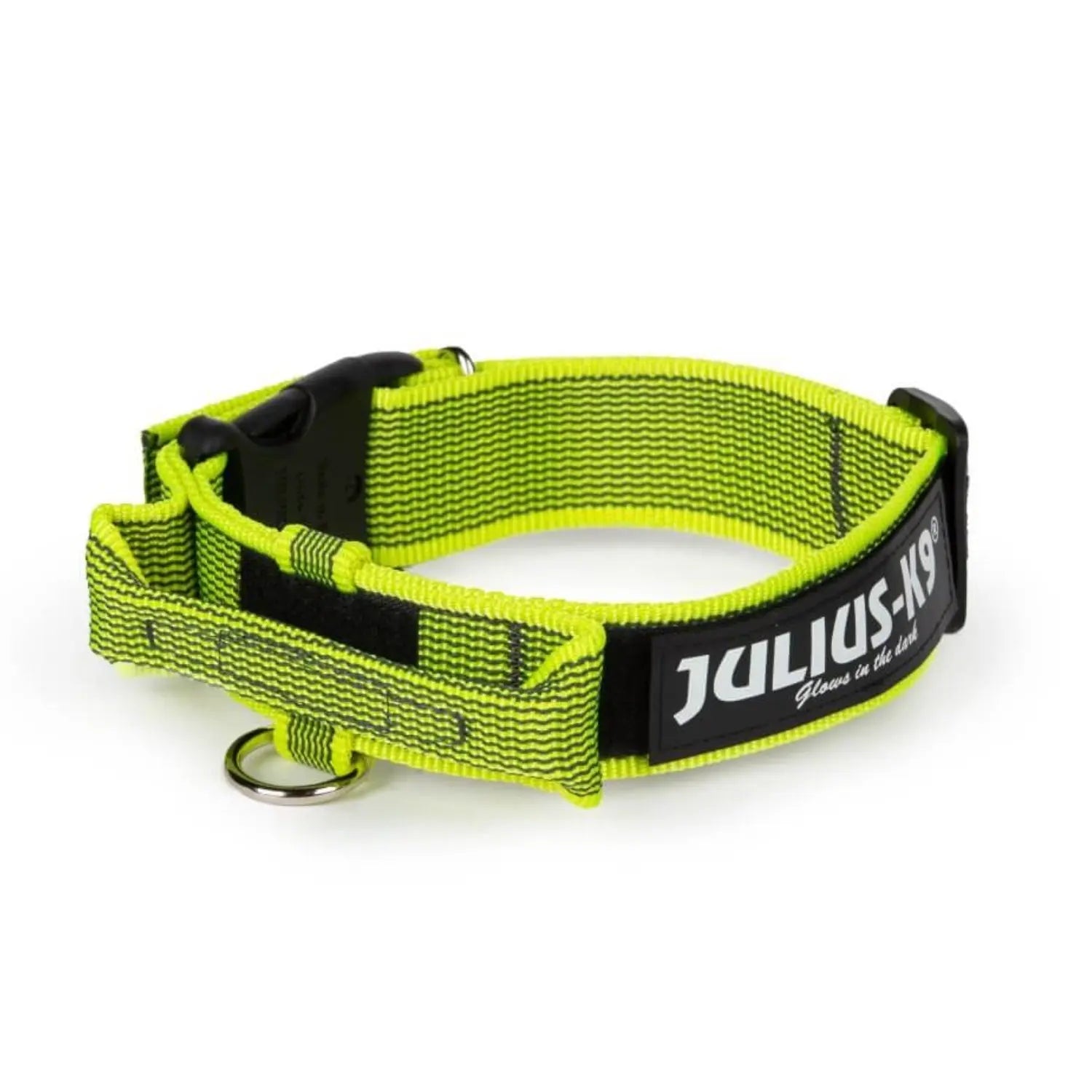 Julius Collar con Asa para Perros al mejor precio -Todoanimal.es
