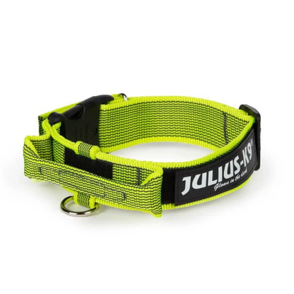 Julius Collar con Asa para Perros al mejor precio -Todoanimal.es