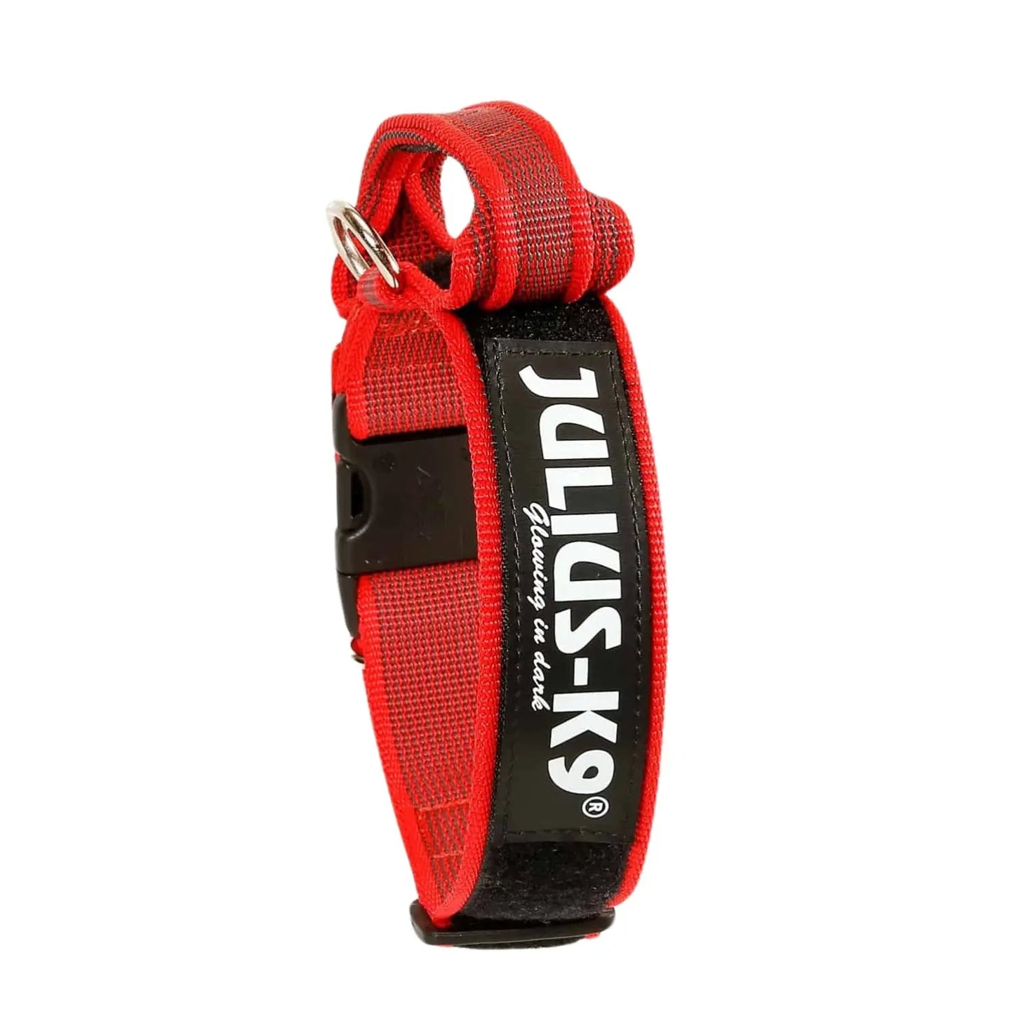 Julius Collar con Asa para Perros al mejor precio -Todoanimal.es