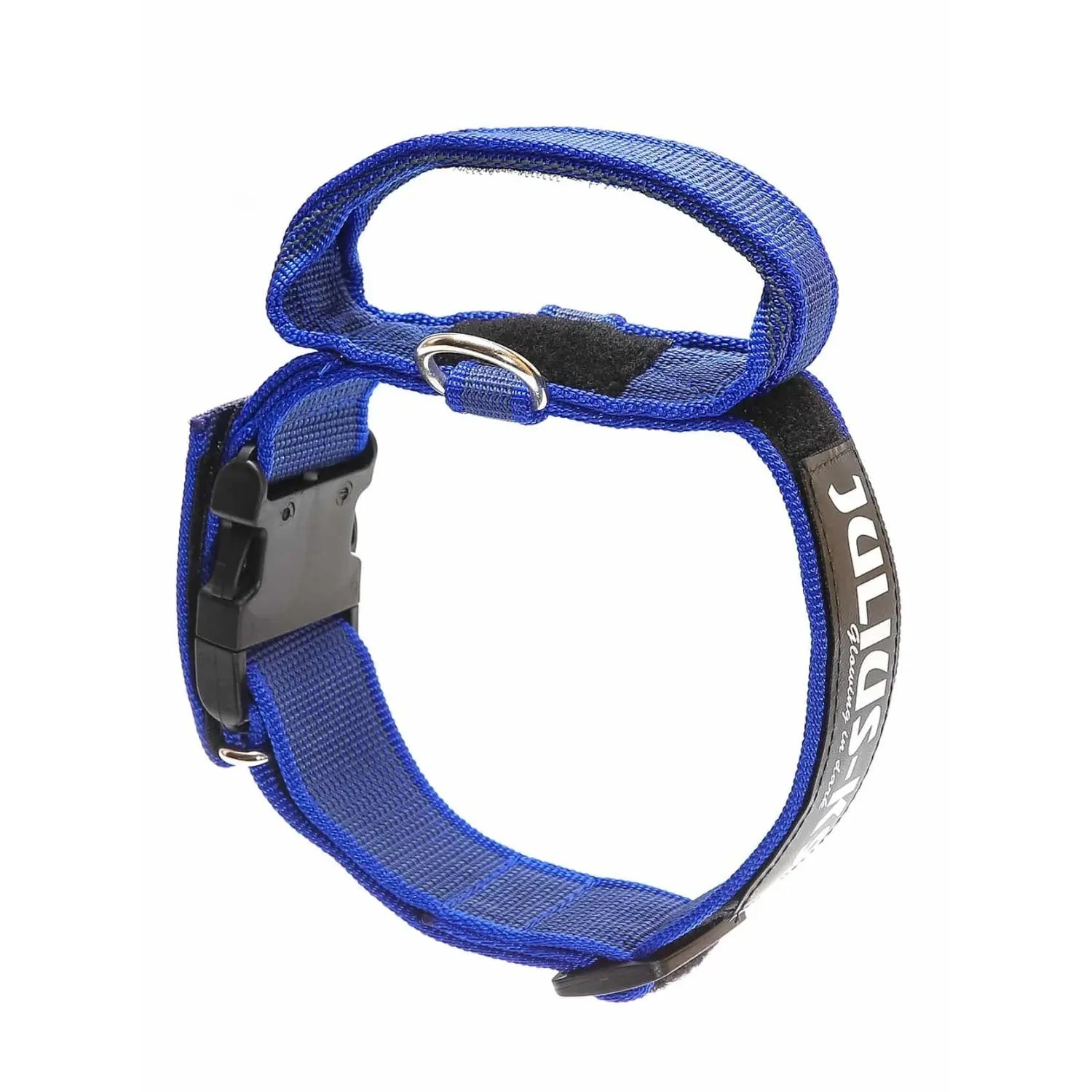 Julius Collar con Asa para Perros al mejor precio -Todoanimal.es