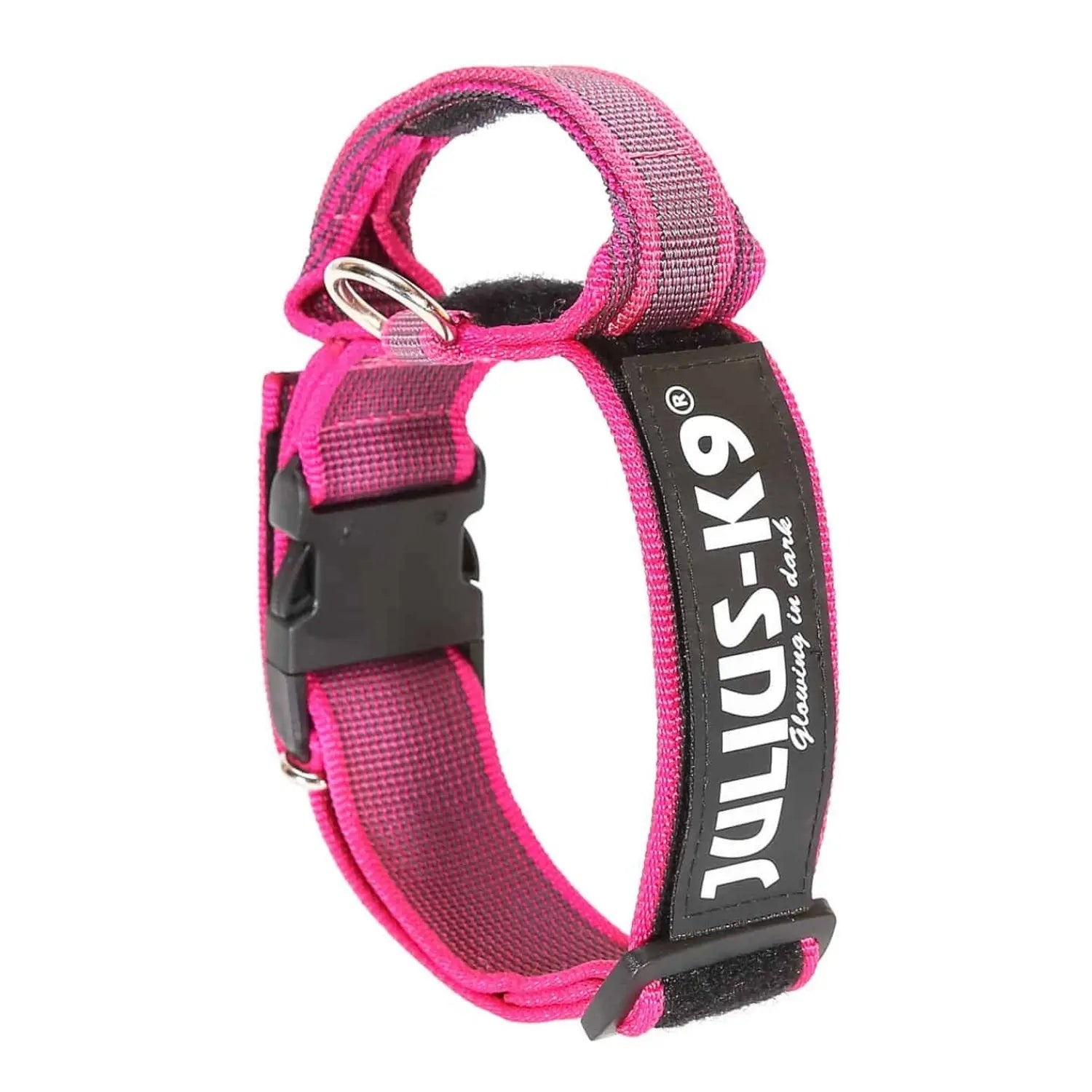 Julius Collar con Asa para Perros al mejor precio -Todoanimal.es