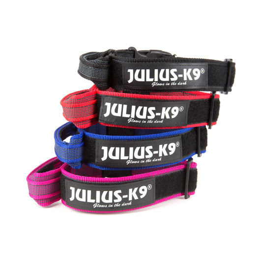 Julius K9 Collar con Asa para Perros al mejor precio -Todoanimal.es