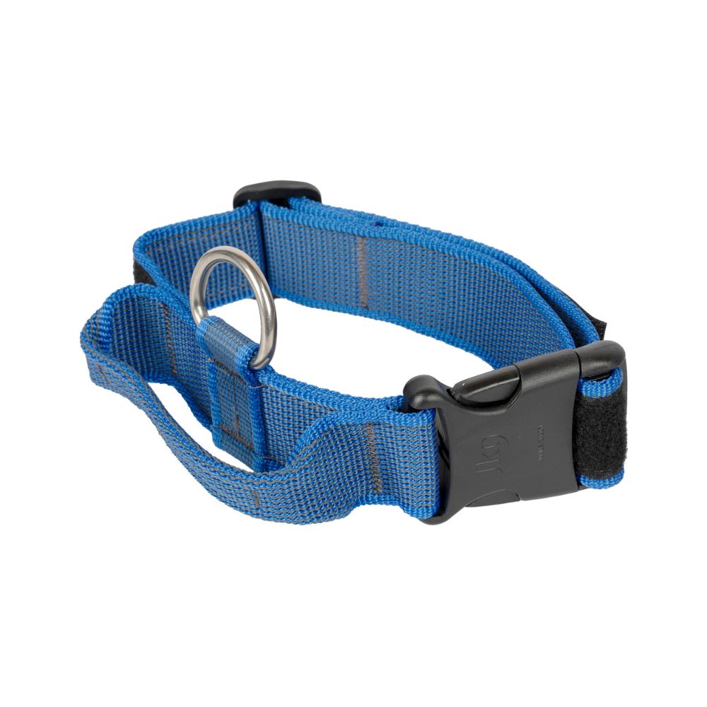 Julius K9 Collar con Asa para Perros al mejor precio -Todoanimal.es